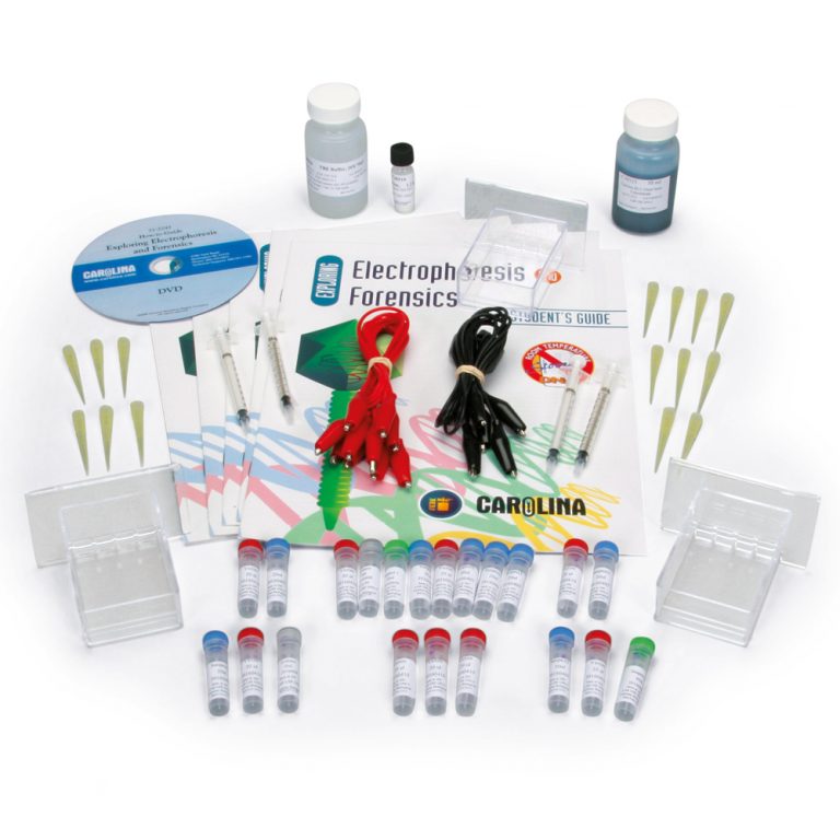 Carolina® Electrophoresis and Forensics Classroom Kit True Crime